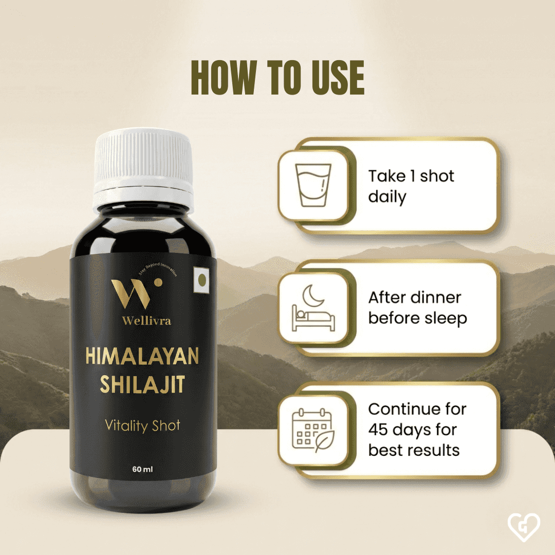 Wellivra Himalayan Shilajit Vitality Shot 60ml X 2s